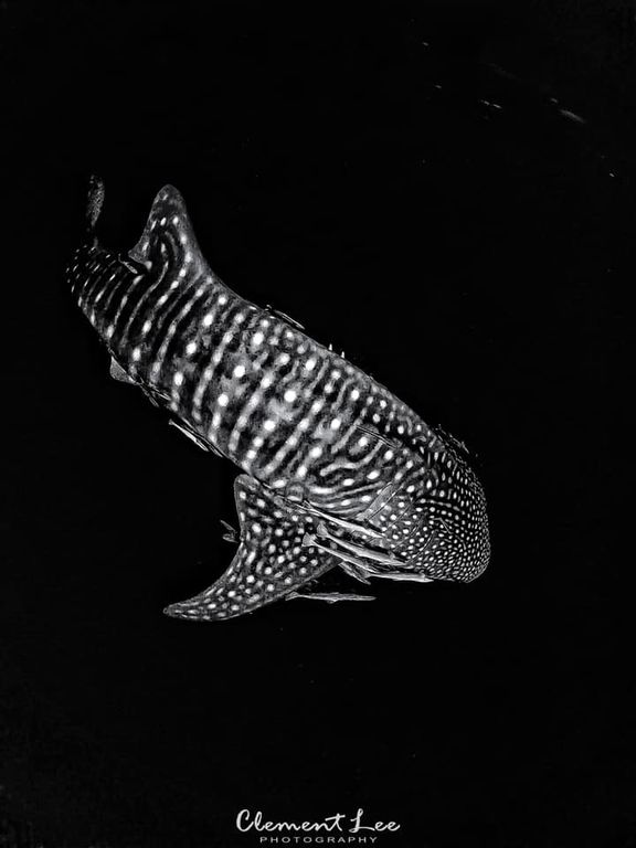 e639a453-d901-4675-952d-28bceeaf7f5c