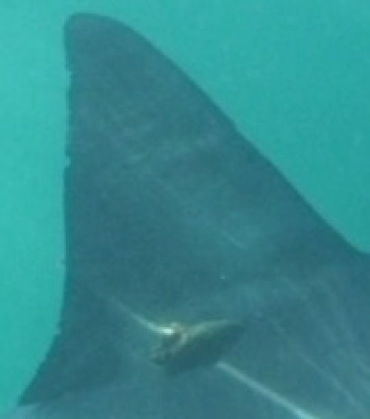 0fd66551-0b20-4e9f-ad9a-1a4b2db8fe83