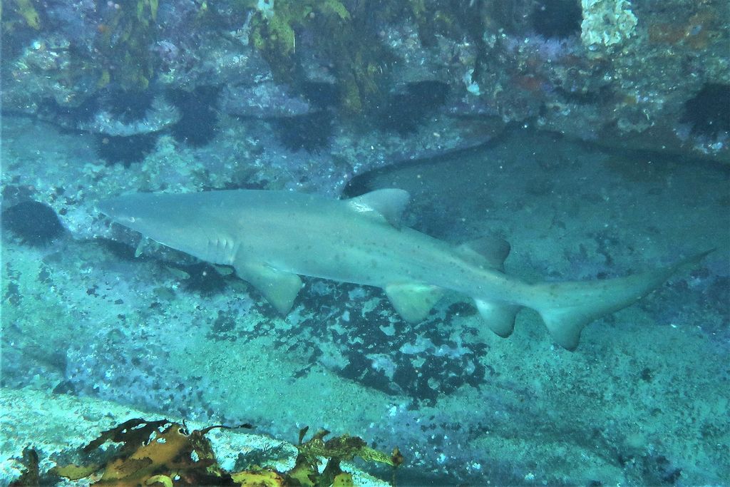 147cd9d3-97ce-4c21-9b7c-809c36fcc10a