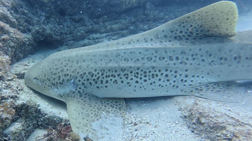 b775d9a8-2131-4fbc-9751-e53bc3f5d190