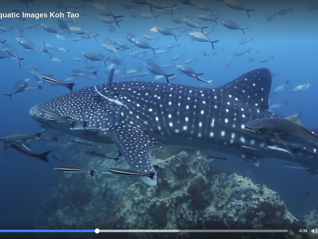 1abeee6a-4b1b-4830-8468-4fbf82ad5172