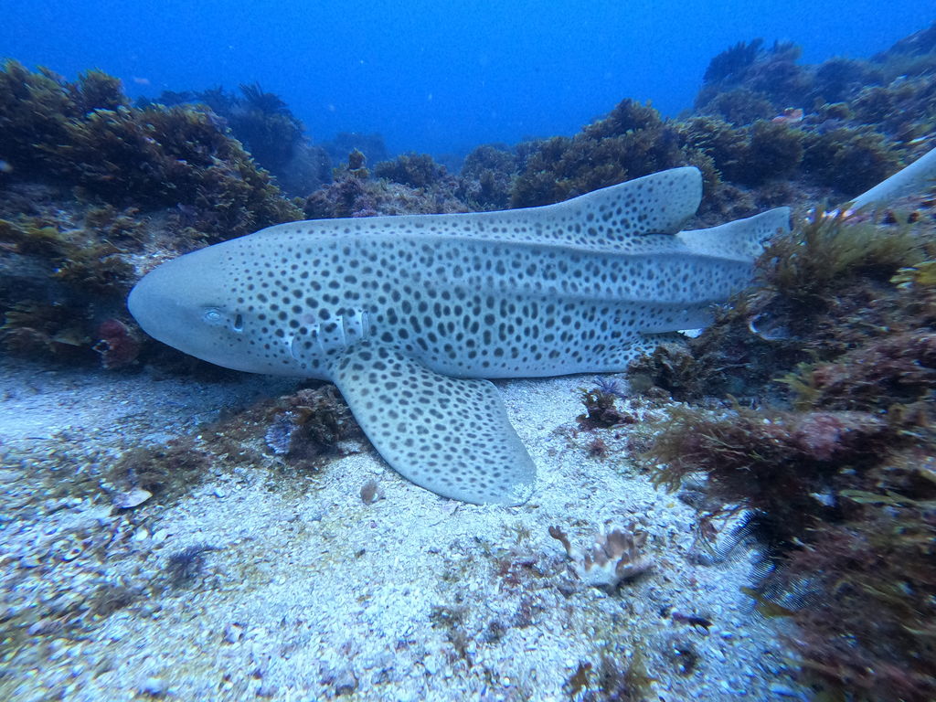 098cfc3f-e7c1-4857-b9ff-7a1d8ce08e29