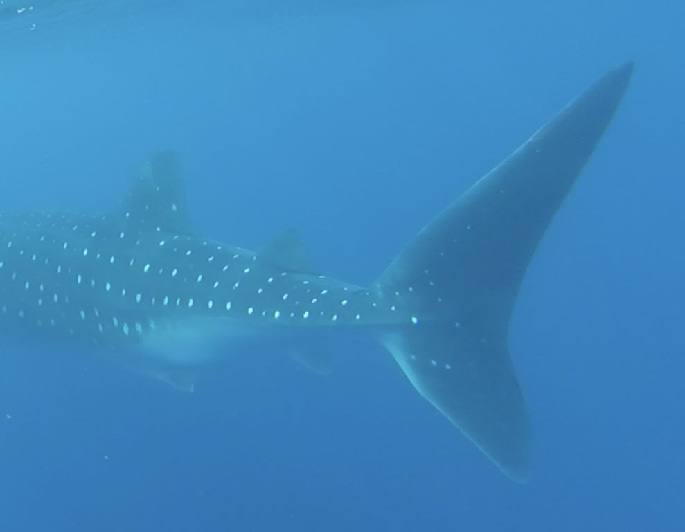 9c1f2182-b253-4fe1-b7b3-e1e3bac477b4