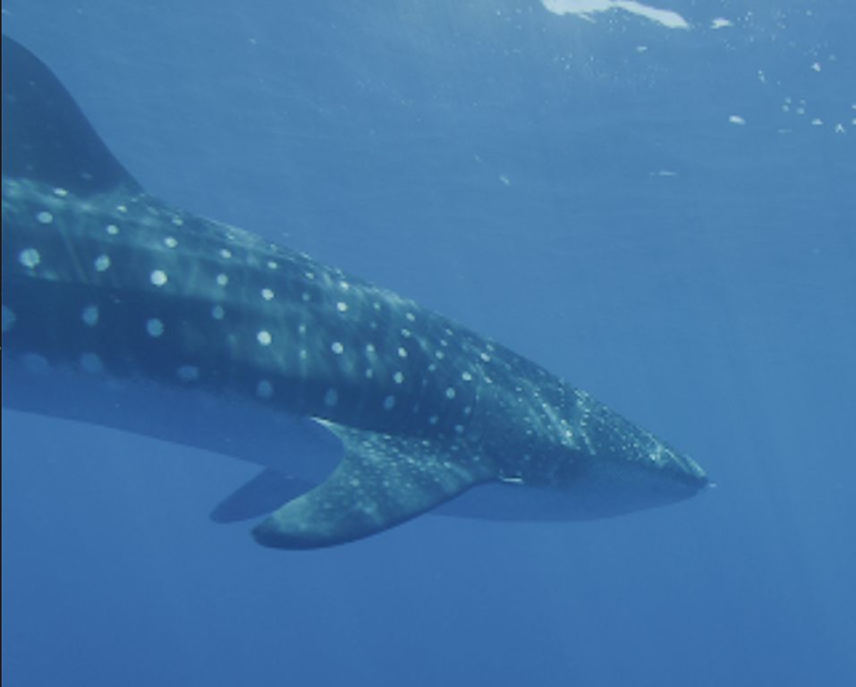 6f6bc435-2e07-46a8-9870-590bdd242676