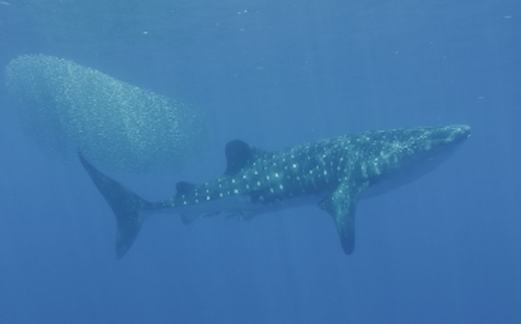 6f6bc435-2e07-46a8-9870-590bdd242676