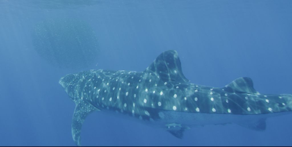 6f6bc435-2e07-46a8-9870-590bdd242676