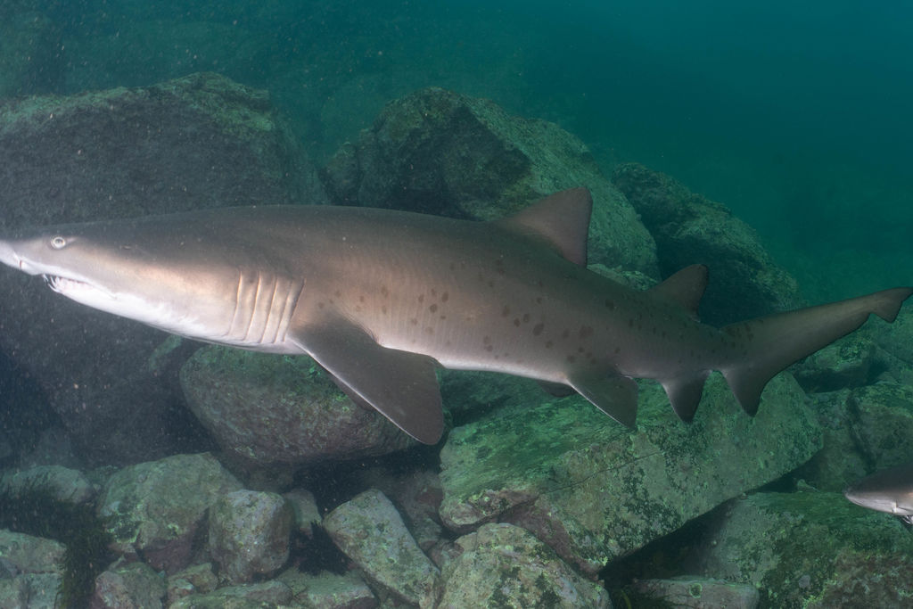 03ca343b-9765-4a58-ab5e-8ab14fdcf714