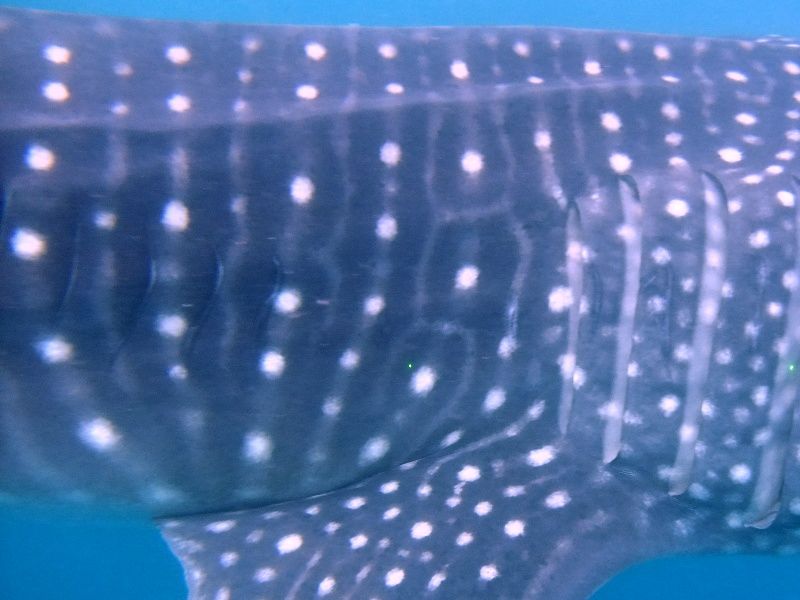 2ec6c366-4c38-4427-af61-491b2c3fadd9