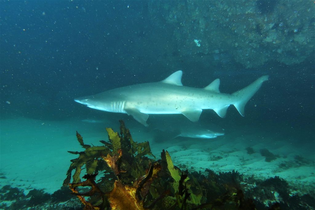 6fabf199-4d0f-4edd-bb9d-99376e14cf62