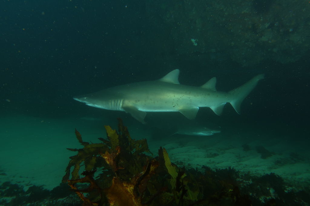 6fabf199-4d0f-4edd-bb9d-99376e14cf62