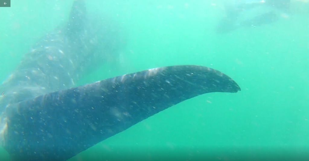 573b3961-2fc1-4702-ac4e-67086bccca9f