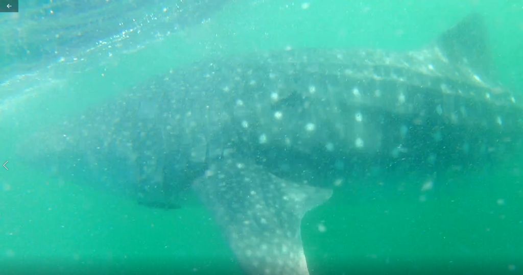 573b3961-2fc1-4702-ac4e-67086bccca9f