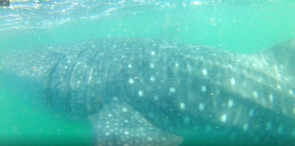 573b3961-2fc1-4702-ac4e-67086bccca9f