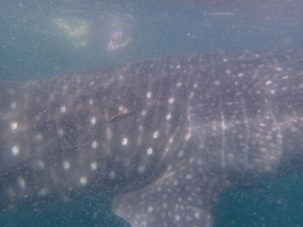 573b3961-2fc1-4702-ac4e-67086bccca9f