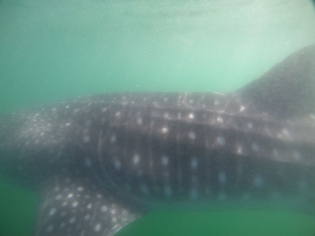 2f1ca8d8-374e-477f-89be-033252b27019