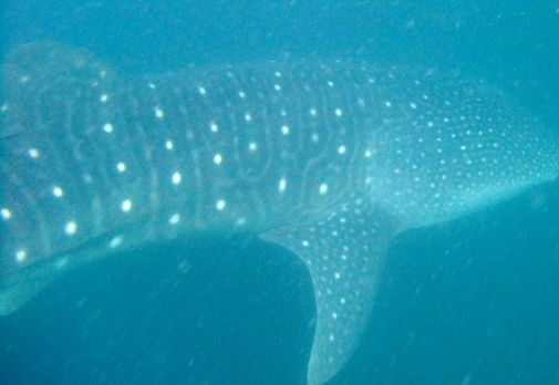 753c4034-c3e5-49e0-9dea-a8944e441c08