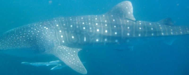 753c4034-c3e5-49e0-9dea-a8944e441c08