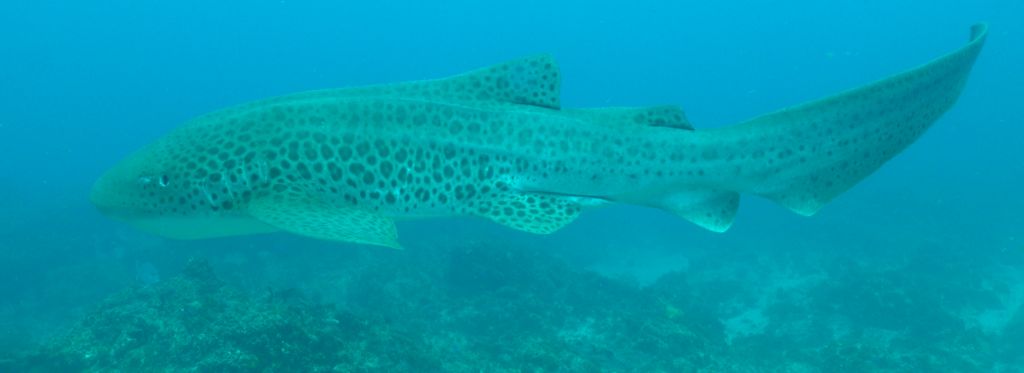 cdabd84c-d01d-44fc-af0f-d6bce63cb4ee