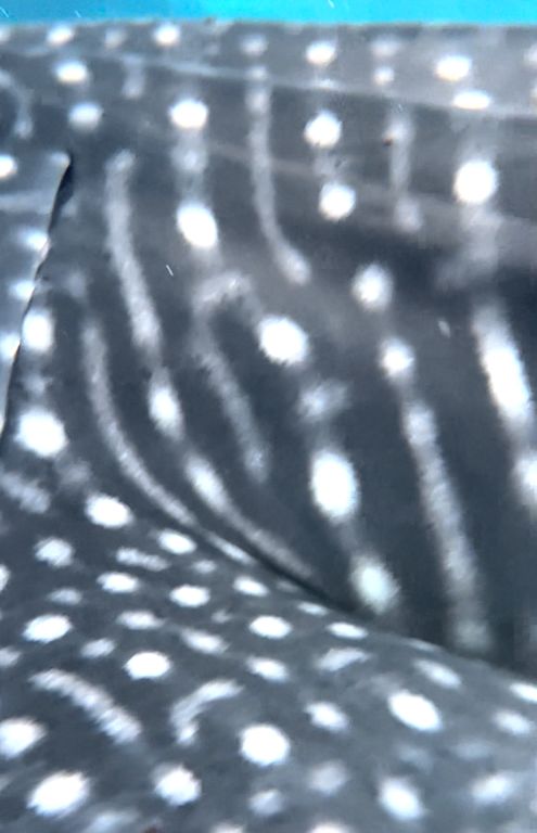 7f1b89c2-ffc5-41ce-bee6-593c8d3046cf