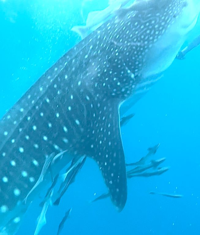 7f1b89c2-ffc5-41ce-bee6-593c8d3046cf