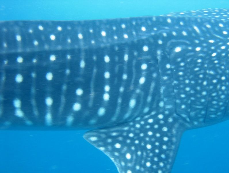 a0846434-7871-4a38-af2a-cc37c119bca8