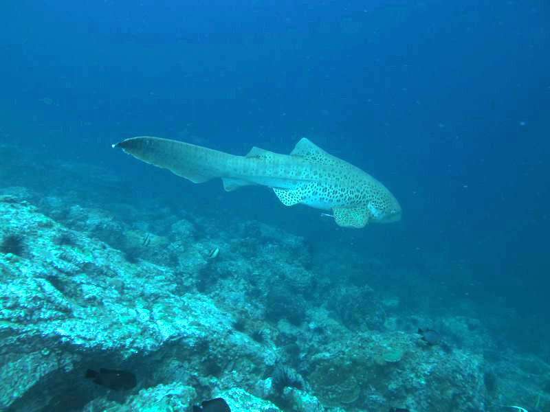 5e65d282-e278-4f01-b92d-cc02cafc589d