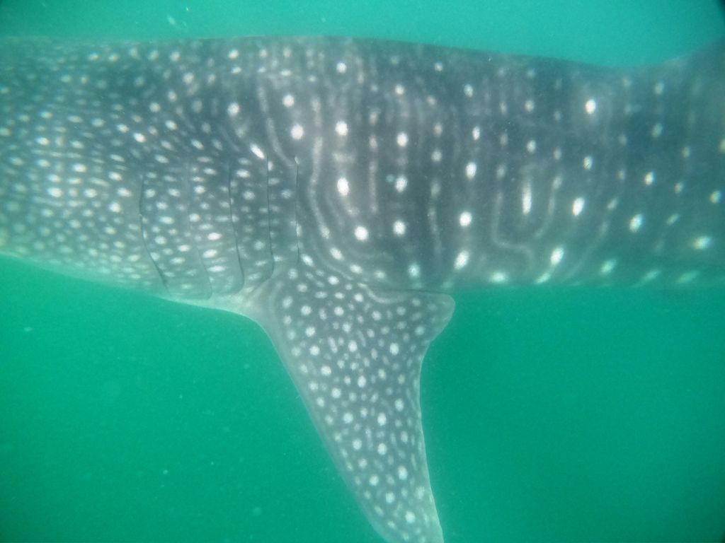 c162f29a-39cb-4ad1-a45e-6c7e630e644b