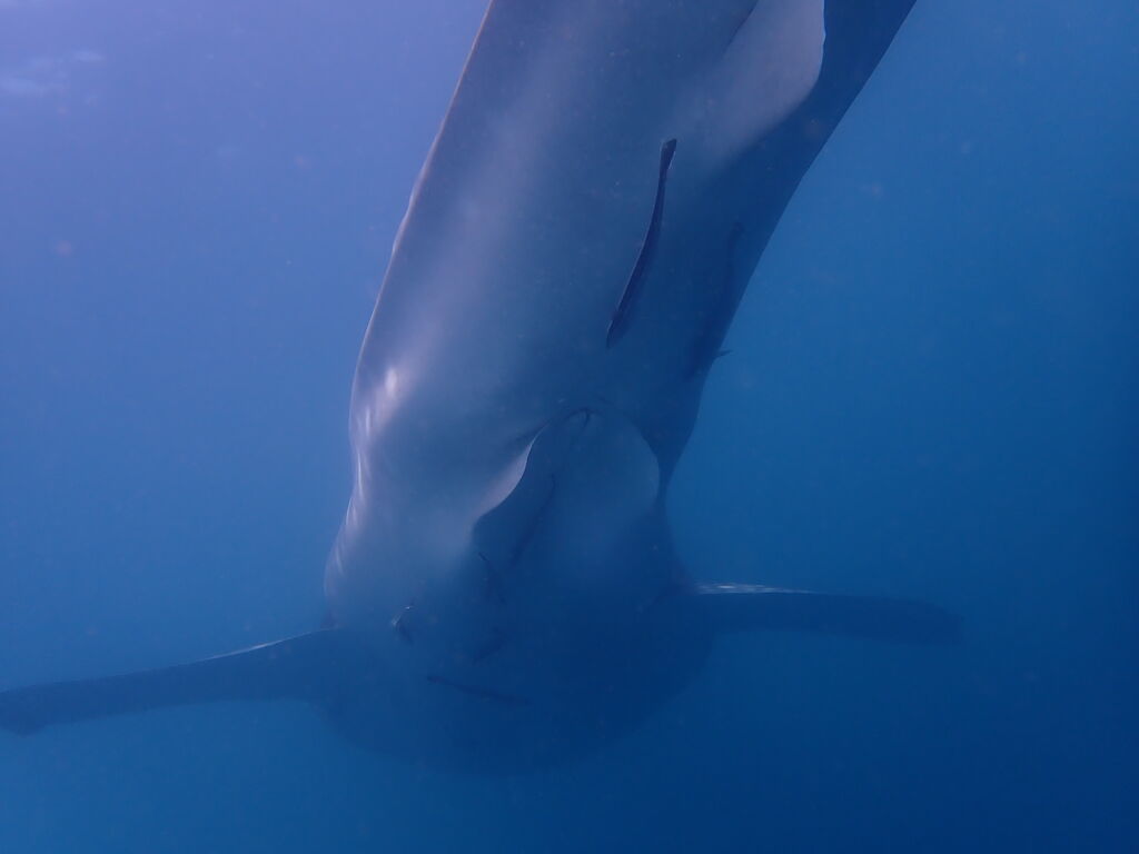 b6583efc-eaed-4688-baae-d98b09f23bdb