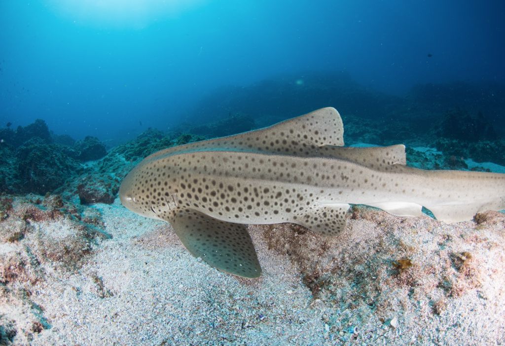 66767c8d-fc7a-44a3-a8ee-835d30b74de8