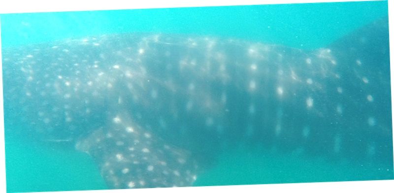 707996cb-0067-44a9-82e6-30ea18d97914