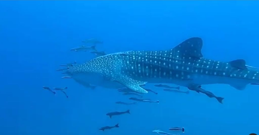 c1ccbd7e-b8ed-4cfc-a86d-014573f303c3