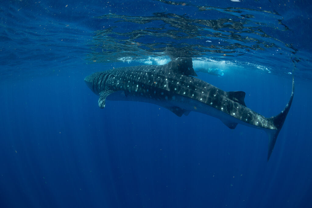 d71c0df2-b88c-40d7-9d56-1a56534c8df8