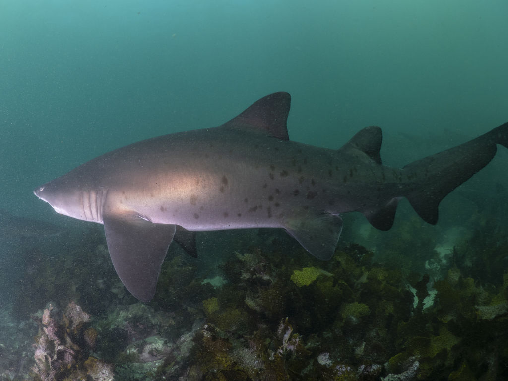 dfa11ef4-f474-47e1-aea0-f9e89e58059c