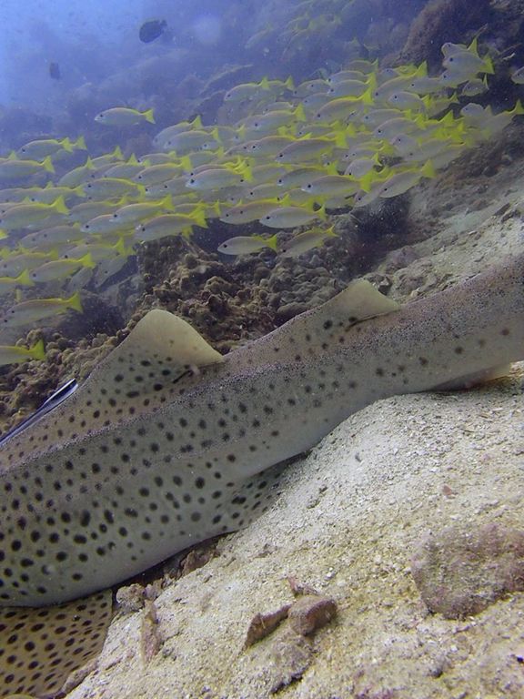 f90ed4af-e13d-400c-ad8d-1ca3000ff264