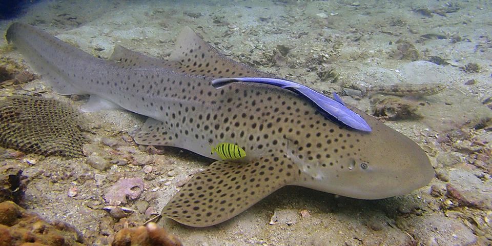 f90ed4af-e13d-400c-ad8d-1ca3000ff264