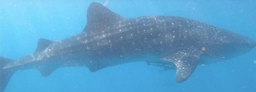 804d587f-b681-4260-8222-c4b70b52cf84