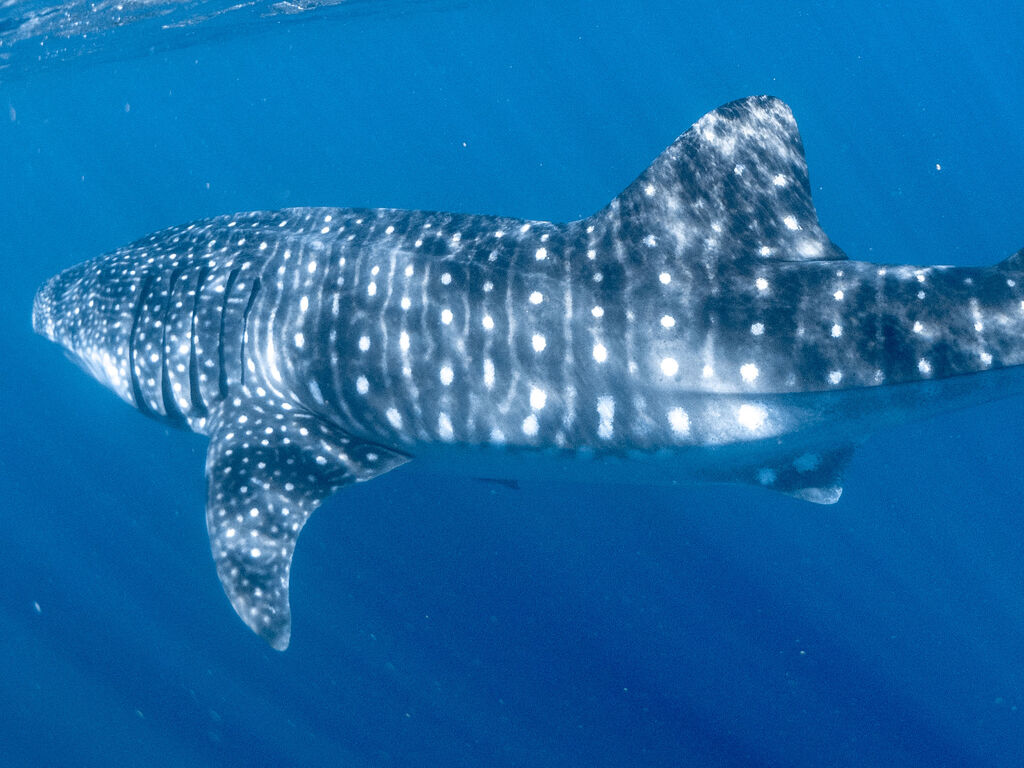 d9f2c011-4501-4619-be7c-002166818557