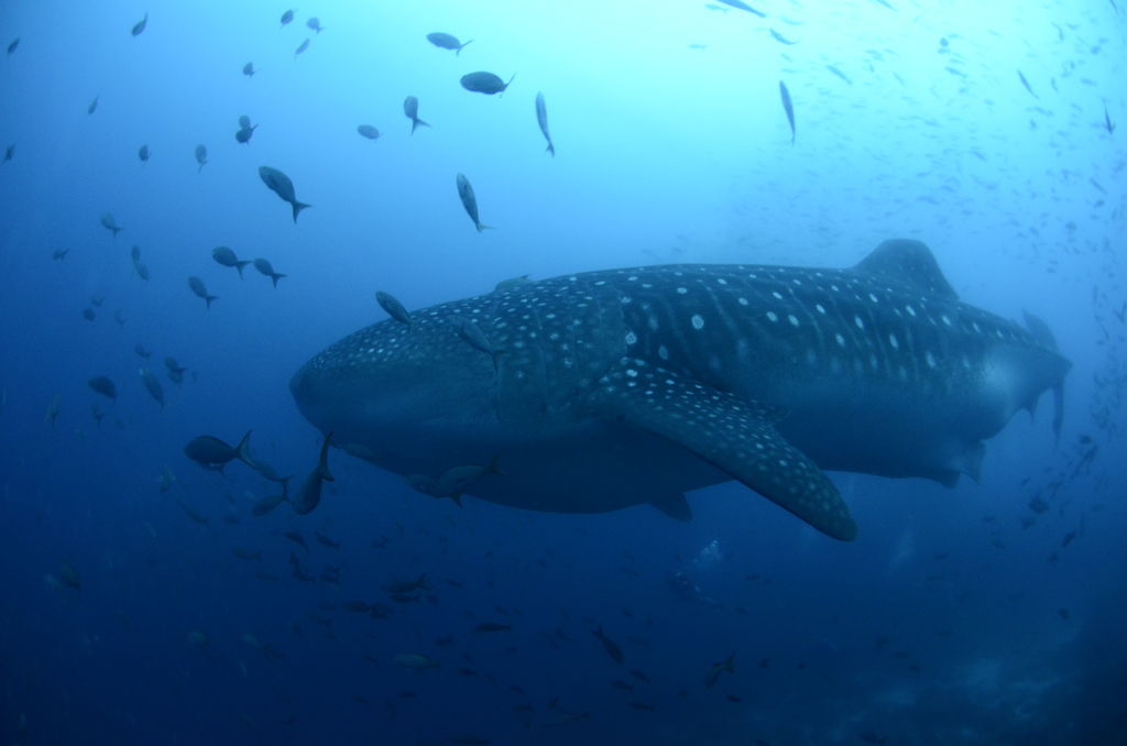 0f4d7aad-b7e4-4a58-af23-48105b289af7