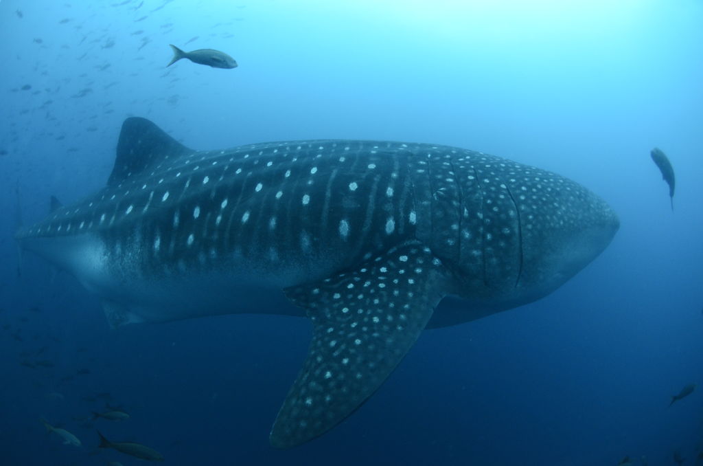 0f4d7aad-b7e4-4a58-af23-48105b289af7