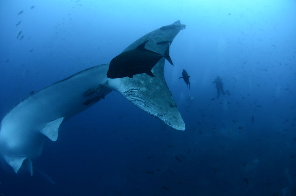 0f4d7aad-b7e4-4a58-af23-48105b289af7