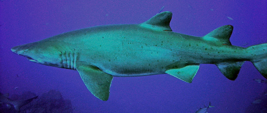 483dea98-5772-42f5-892b-5f1bf68edf67