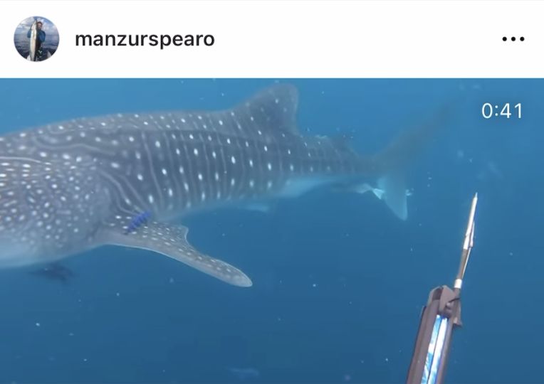 68b6cf30-14ce-4d31-a8fe-3ab19475e4fa