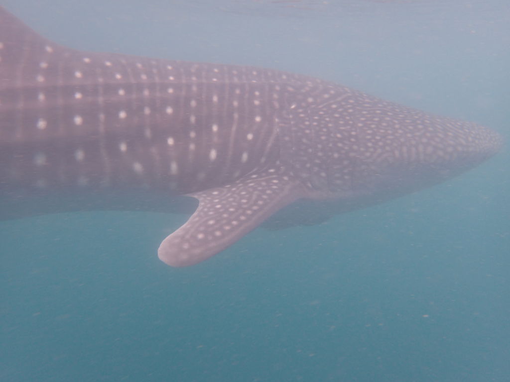 410df24a-fe77-49d1-9023-5729fa51fe99