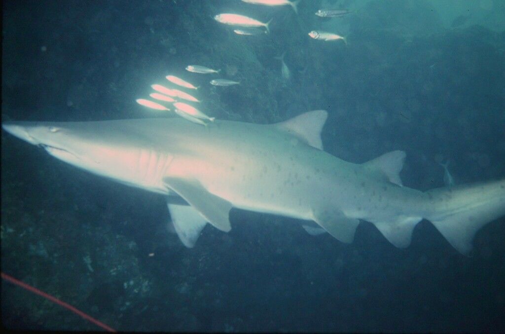 8fe6fbba-6d59-4f04-b698-1c5b9a2b0994