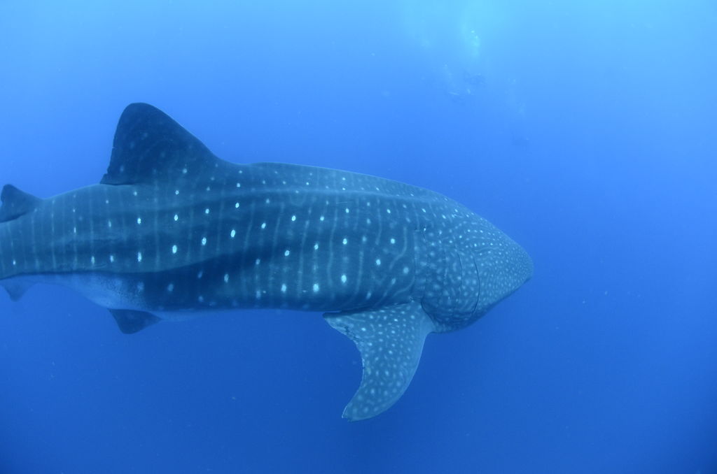 5df2e622-abe2-463b-915c-274df7cbe051