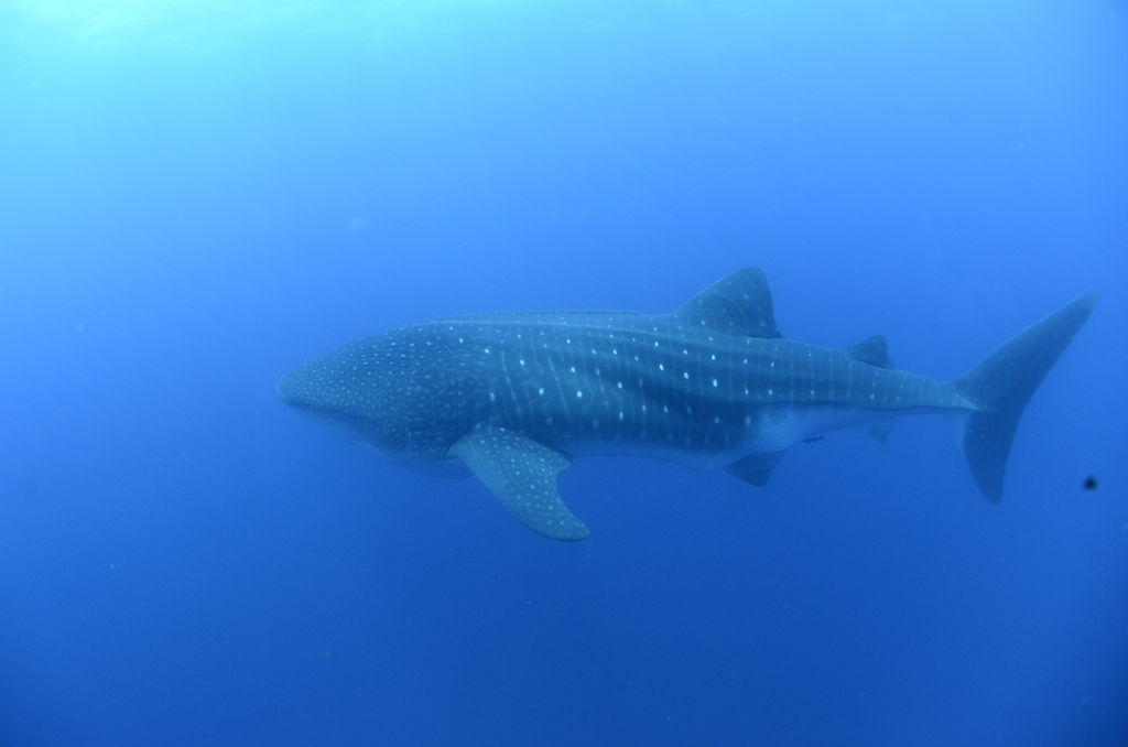 5df2e622-abe2-463b-915c-274df7cbe051