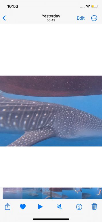 6eeb400d-33ca-4bf4-8389-200b7ddcd59e