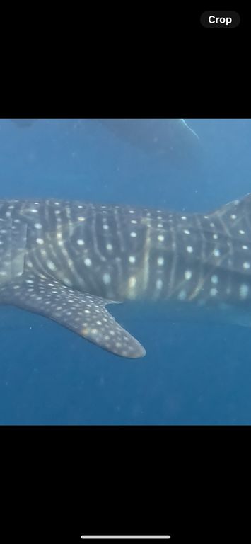 6eeb400d-33ca-4bf4-8389-200b7ddcd59e