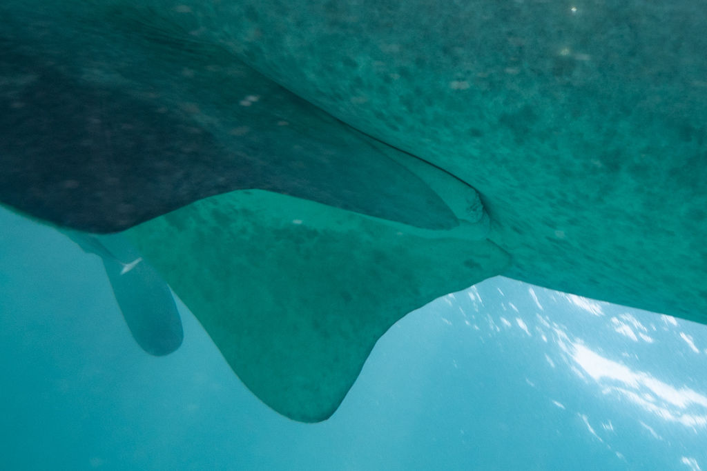 39292beb-132f-4beb-bdaf-7c8606a0a620