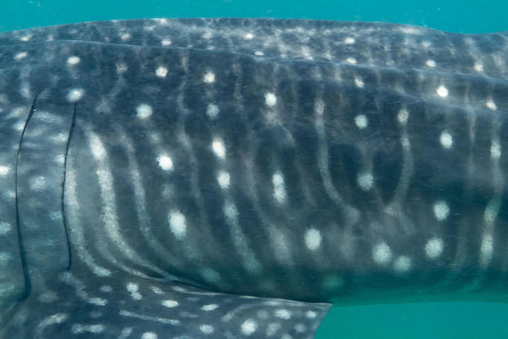 39292beb-132f-4beb-bdaf-7c8606a0a620